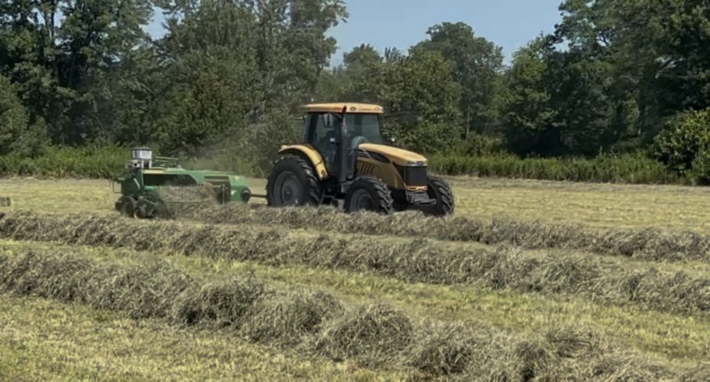 Hay & Silage 1