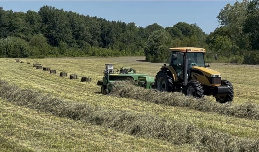 Hay & Silage 2