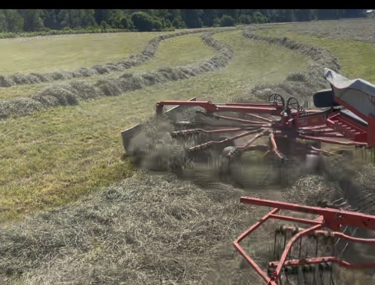 Hay & Silage 3
